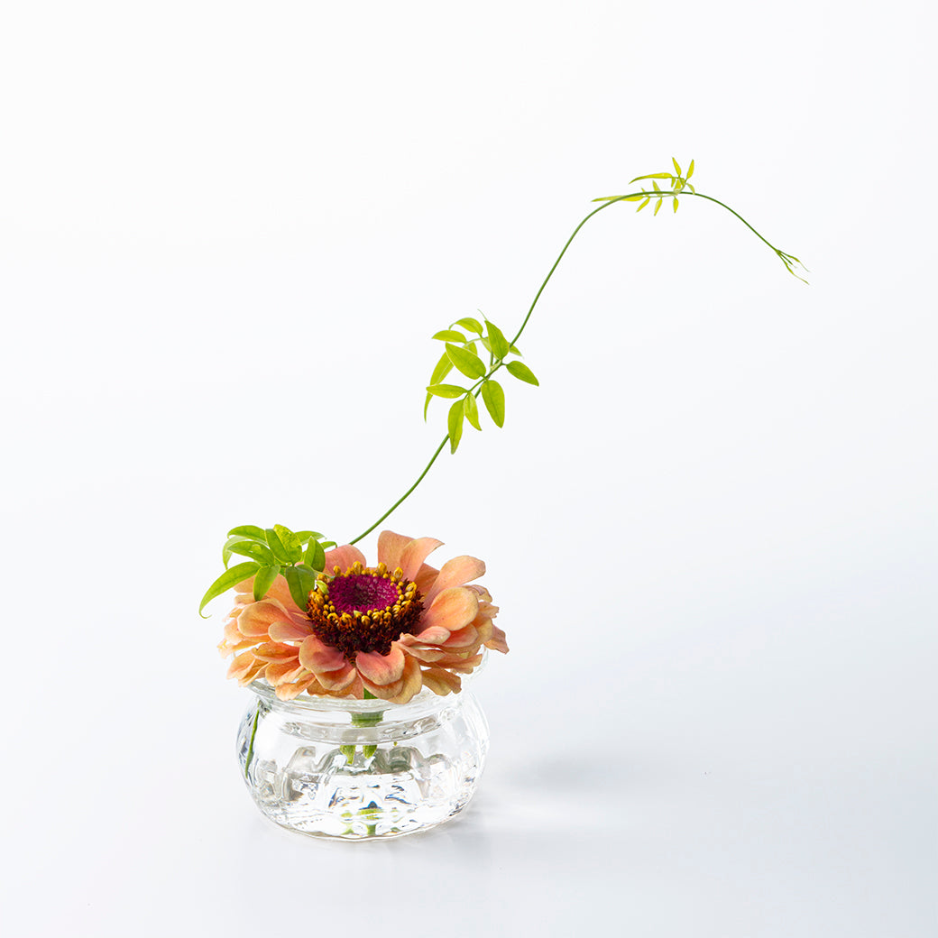 Florero MEDIFILA BARON
